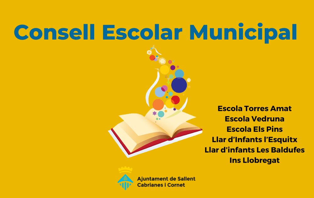 Imatge pels mitjans: Consell Escolar Municipal de Sallent