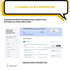 Pas 2 - votació