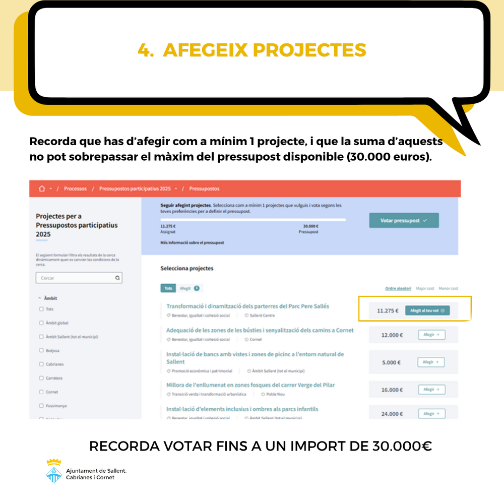 Pas 4 - votació
