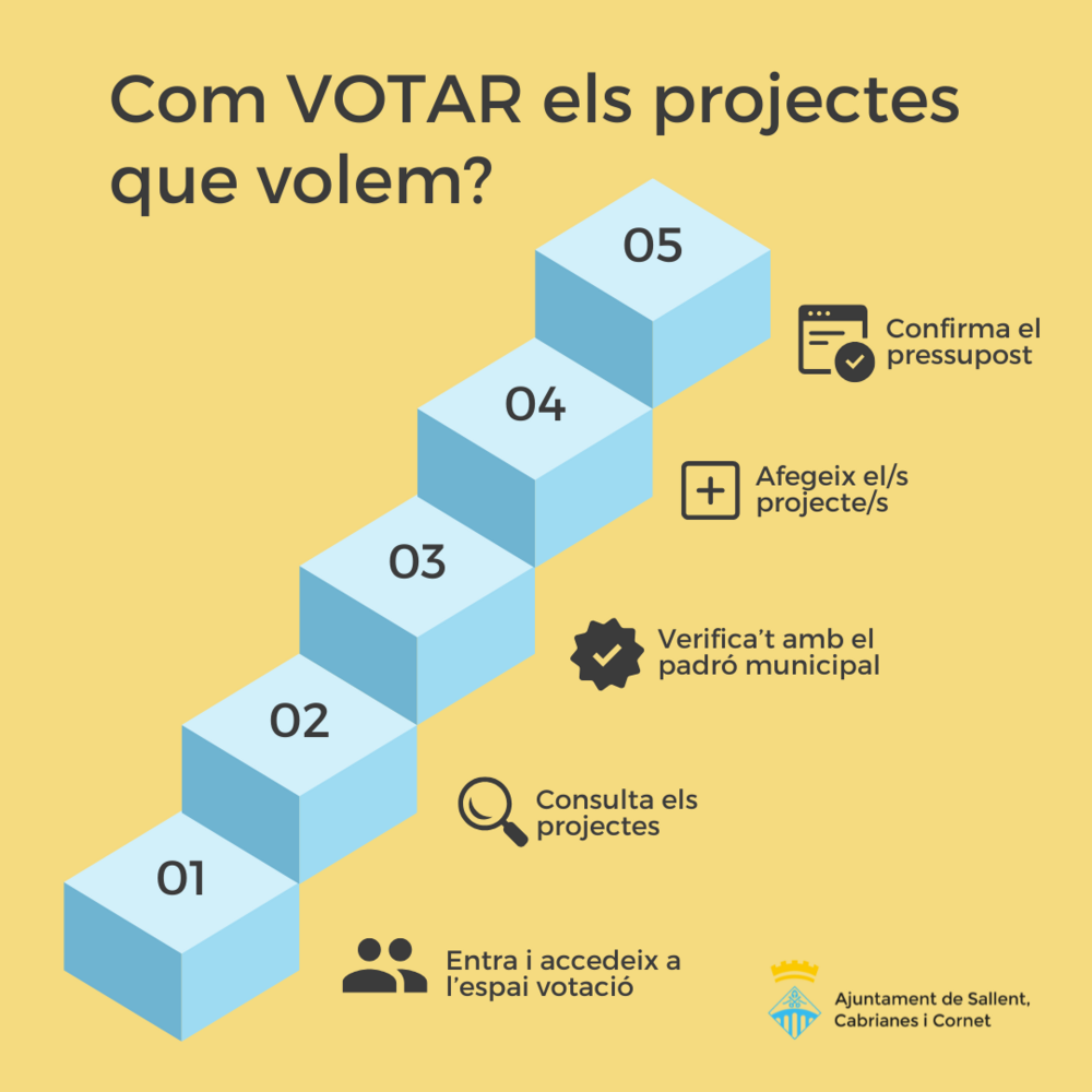 5 passos per votar
