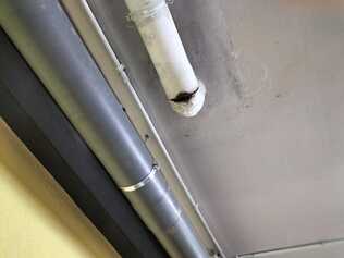IMG-20240430-WA0001.jpg